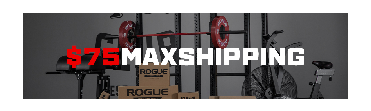 Rogue fitness cyber monday online